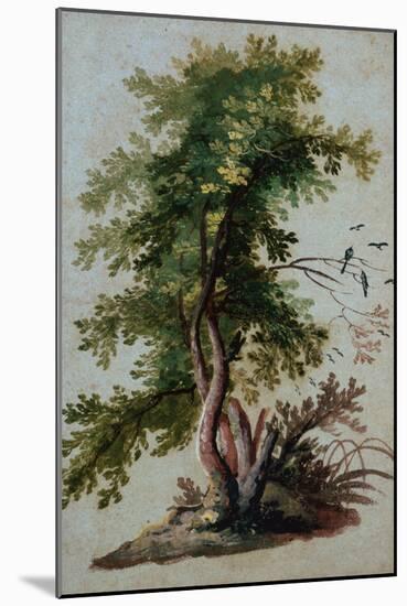 A Tree with Two Birds Perching on a Branch-Paul Brill or Bril-Mounted Giclee Print