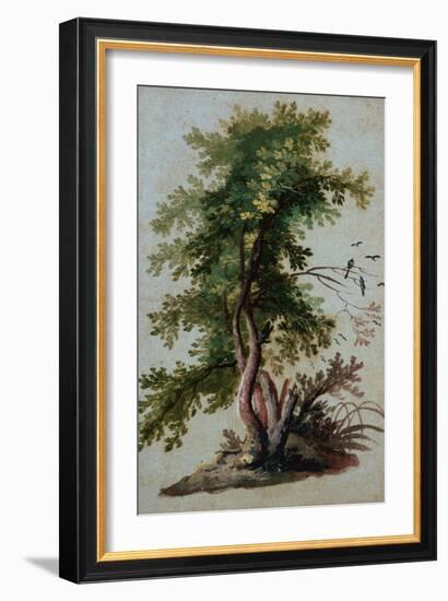 A Tree with Two Birds Perching on a Branch-Paul Brill or Bril-Framed Giclee Print