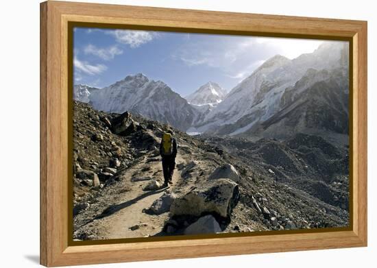 A Trekker on the Everest Base Camp Trail, Nepal-David Noyes-Framed Premier Image Canvas