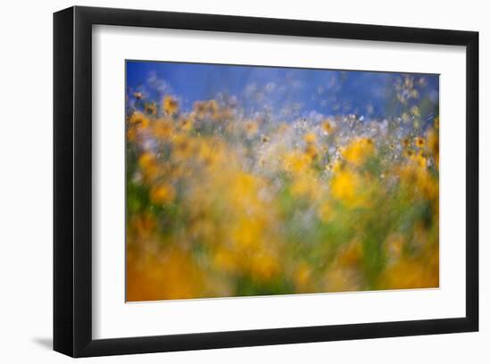 A Tribute to Monet-null-Framed Art Print