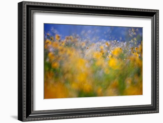 A Tribute to Monet-null-Framed Art Print