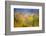 A Tribute to Monet-null-Framed Premium Giclee Print