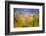 A Tribute to Monet-null-Framed Premium Giclee Print