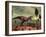 A Triceratops Falls Victim to Tyrannosaurus Rex-Stocktrek Images-Framed Photographic Print