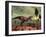 A Triceratops Falls Victim to Tyrannosaurus Rex-Stocktrek Images-Framed Photographic Print