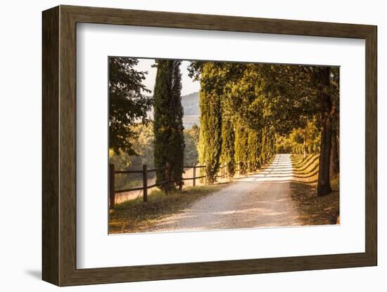 A Trimmed Driveway in Italy in Autumn-Petra Daisenberger-Framed Photographic Print