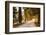 A Trimmed Driveway in Italy in Autumn-Petra Daisenberger-Framed Photographic Print