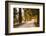 A Trimmed Driveway in Italy in Autumn-Petra Daisenberger-Framed Photographic Print