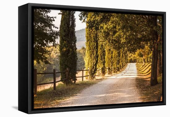 A Trimmed Driveway in Italy in Autumn-Petra Daisenberger-Framed Premier Image Canvas