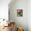 A Trio of Bees Explore a Giant Thistle Bloom on a Farm Near New Castle-null-Photographic Print displayed on a wall