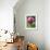 A Trio of Bees Explore a Giant Thistle Bloom on a Farm Near New Castle-null-Framed Photographic Print displayed on a wall