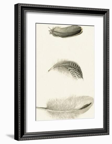 A Trio of Feathers-The Vintage Collection-Framed Art Print