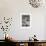 A Trio-Edgar Bundy-Framed Giclee Print displayed on a wall