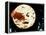 A Trip to the Moon, (aka Le Voyage dans le Lune), 1902-null-Framed Stretched Canvas