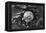 A Trip to the Moon, from French Movie-null-Framed Premier Image Canvas