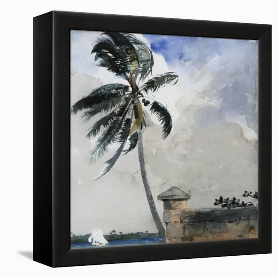A Tropical Breeze, Nassau, 1889-90-Winslow Homer-Framed Premier Image Canvas