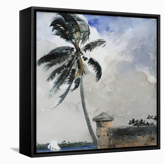 A Tropical Breeze, Nassau, 1889-90-Winslow Homer-Framed Premier Image Canvas