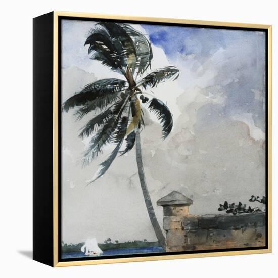 A Tropical Breeze, Nassau, 1889-90-Winslow Homer-Framed Premier Image Canvas