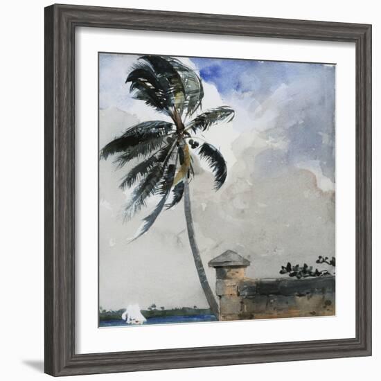 A Tropical Breeze, Nassau, 1889-90-Winslow Homer-Framed Giclee Print