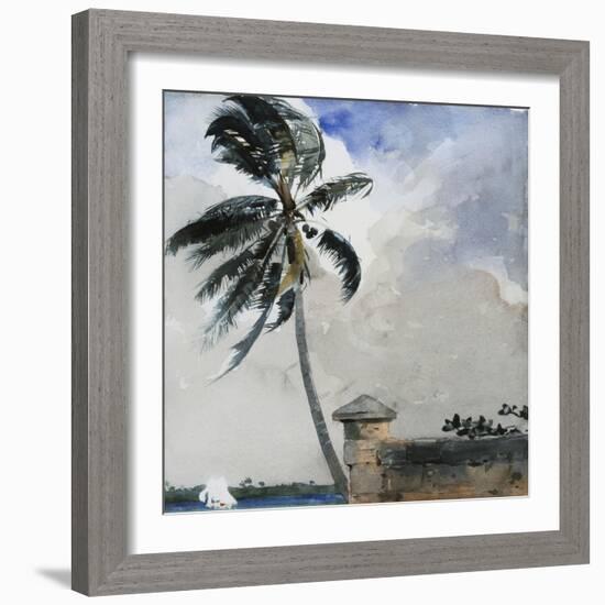 A Tropical Breeze, Nassau, 1889-90-Winslow Homer-Framed Giclee Print