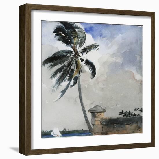 A Tropical Breeze, Nassau, 1889-90-Winslow Homer-Framed Giclee Print