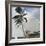 A Tropical Breeze, Nassau, 1889-90-Winslow Homer-Framed Giclee Print