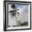 A Tropical Breeze, Nassau, 1889-90-Winslow Homer-Framed Giclee Print