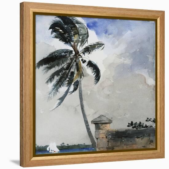 A Tropical Breeze, Nassau, 1889-90-Winslow Homer-Framed Premier Image Canvas