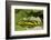 A Tropical Butterfly Perching on a Leaf-Joe Petersburger-Framed Photographic Print