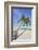 A tropical island beachside coconut palm, Gaafu Dhaalu atoll, in the far south of The Maldives-Nigel Hicks-Framed Photographic Print