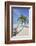 A tropical island beachside coconut palm, Gaafu Dhaalu atoll, in the far south of The Maldives-Nigel Hicks-Framed Photographic Print