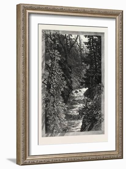 A Trout Pool on the Saugeen, Canada, Nineteenth Century-null-Framed Giclee Print