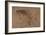 A Trout Rising-Joseph Crawhall-Framed Premium Giclee Print