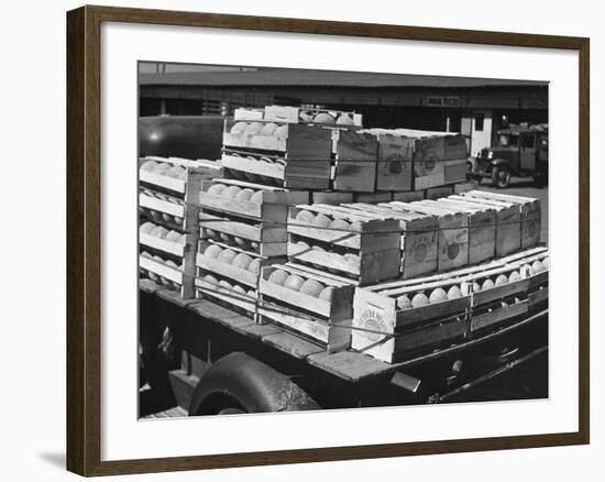 A Truckload of Freshly Harvested Canteloupes in Crates-null-Framed Photographic Print