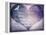 A True Love Story Never Ends-LightBoxJournal-Framed Premier Image Canvas