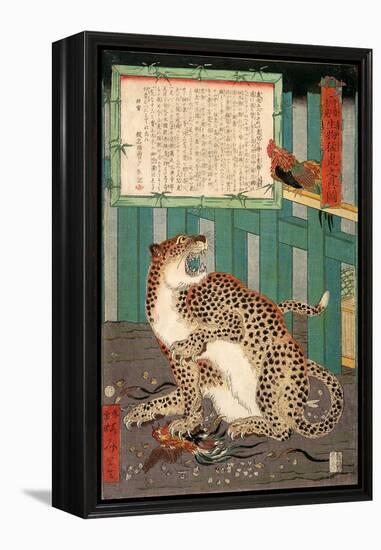 A True Picture of the Fierce Live Tiger Never Seen from the Past to the Present-Kyosai Kawanabe-Framed Premier Image Canvas