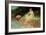 A Trusting Moment-Frederick Stuart Church-Framed Giclee Print