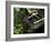 A Tsukubai With Bamboo Ladle in a Garden at Sanzenin Temple in Ohara, Kyoto, Japan-null-Framed Photographic Print