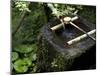 A Tsukubai With Bamboo Ladle in a Garden at Sanzenin Temple in Ohara, Kyoto, Japan-null-Mounted Photographic Print