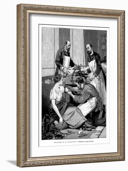 A Tuberculosis Patient Being Given a Transfusion of Goat's Blood, 1891-null-Framed Premium Giclee Print