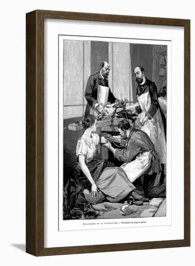 A Tuberculosis Patient Being Given a Transfusion of Goat's Blood, 1891-null-Framed Premium Giclee Print