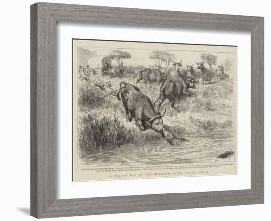 A Tug of War on the Notawani River, South Africa-Godefroy Durand-Framed Giclee Print