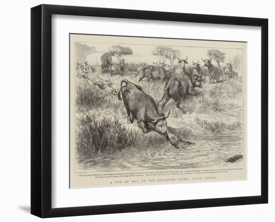 A Tug of War on the Notawani River, South Africa-Godefroy Durand-Framed Giclee Print
