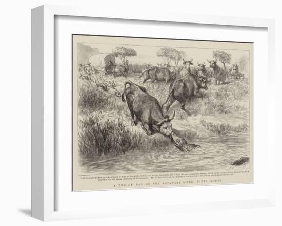 A Tug of War on the Notawani River, South Africa-Godefroy Durand-Framed Giclee Print