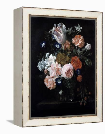 A Tulip, Carnations, and Morning Glory in a Glass Vase, 17th Century-Nicolaes van Veerendael-Framed Premier Image Canvas