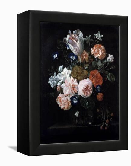 A Tulip, Carnations, and Morning Glory in a Glass Vase, 17th Century-Nicolaes van Veerendael-Framed Premier Image Canvas