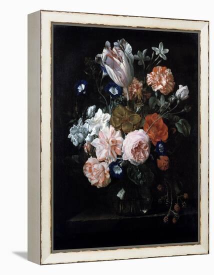 A Tulip, Carnations, and Morning Glory in a Glass Vase, 17th Century-Nicolaes van Veerendael-Framed Premier Image Canvas