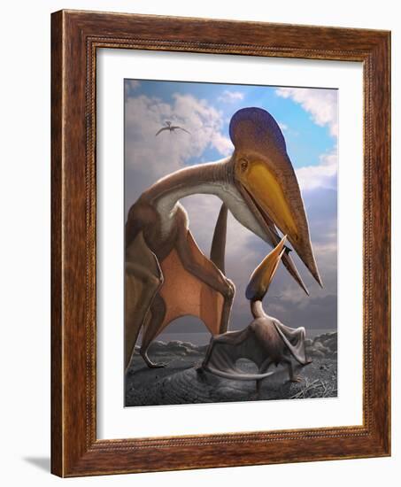 A Tupuxuara Leonardii Provides Food for its Offspring-null-Framed Art Print