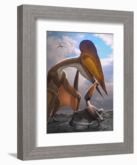 A Tupuxuara Leonardii Provides Food for its Offspring-null-Framed Premium Giclee Print