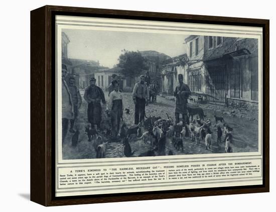 A Turk's Kindness to the Harmless-null-Framed Premier Image Canvas